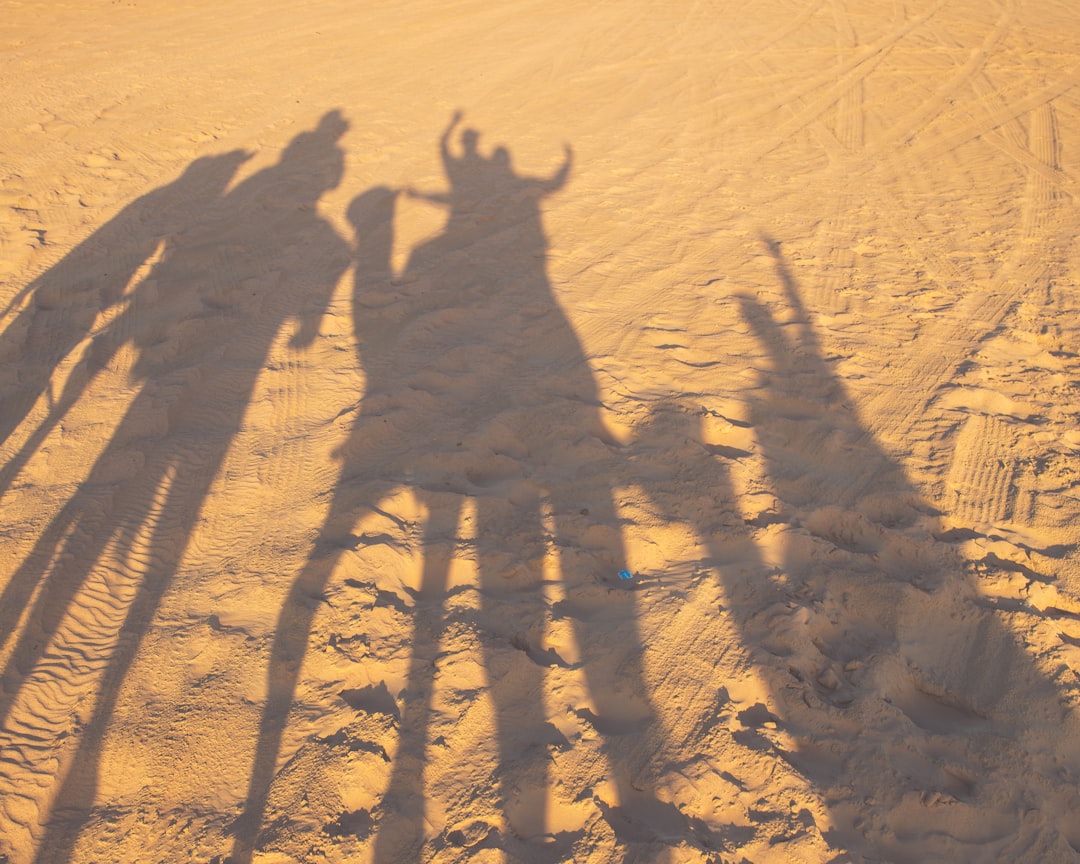 The View At The Palm